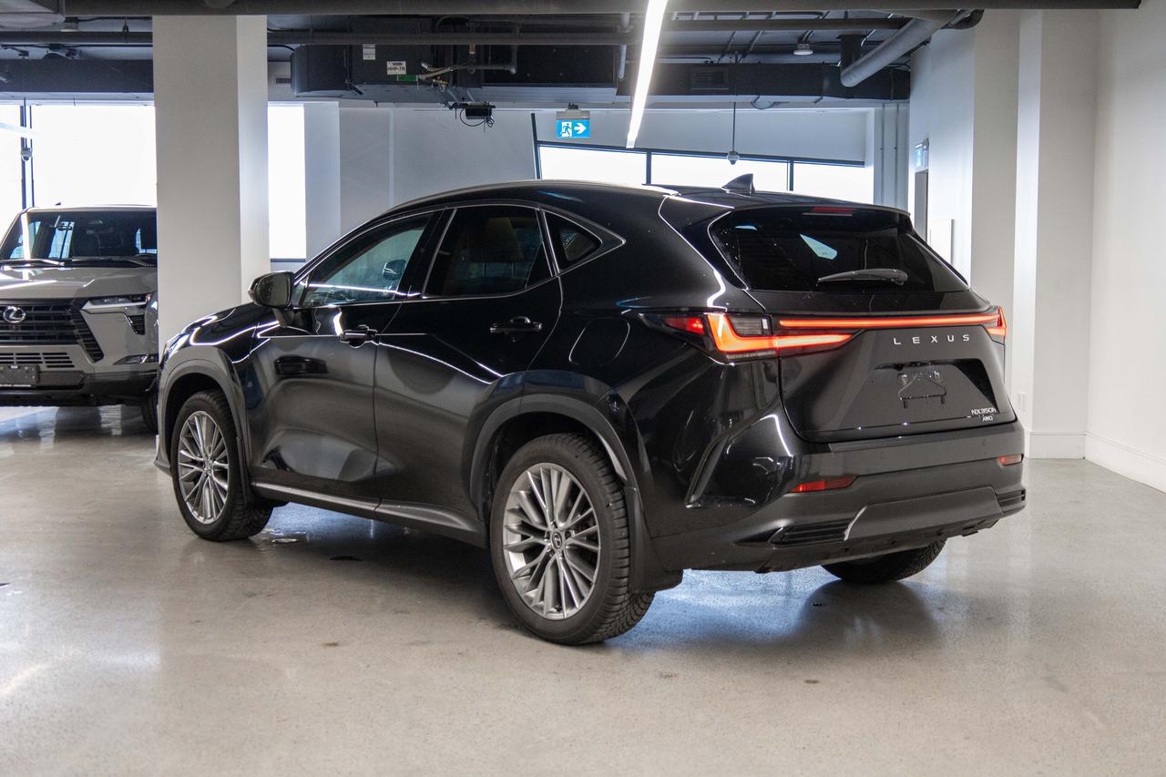 2024 Lexus NX 350h Luxury Pkg Safety Certified Welcome Trades Photo