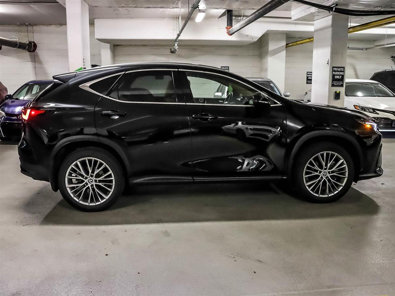 2024 Lexus NX 350h Luxury Pkg Safety Certified Welcome Trades Photo