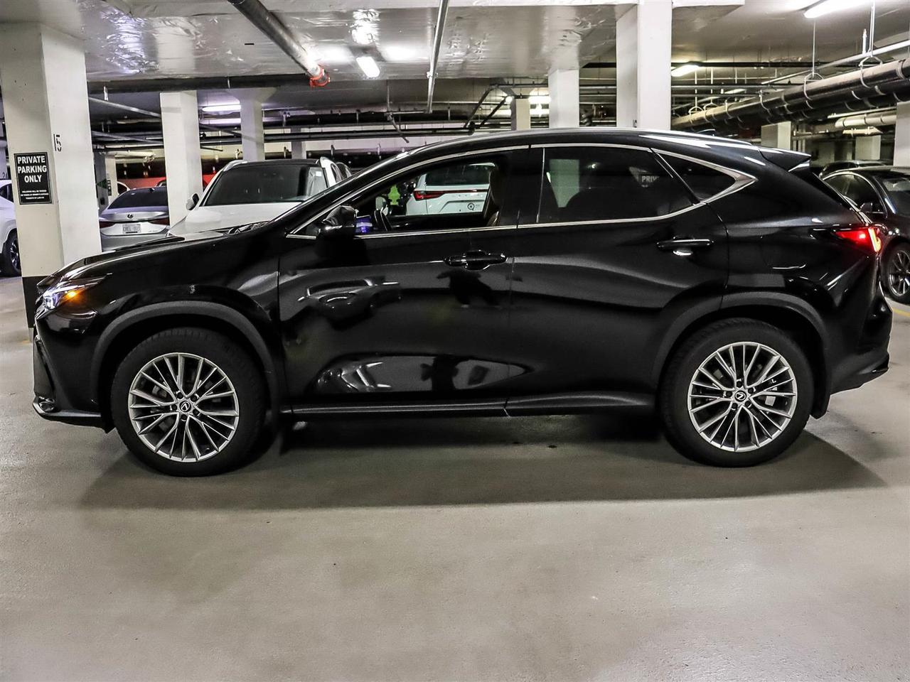 2024 Lexus NX 350h Luxury Pkg Safety Certified Welcome Trades Photo