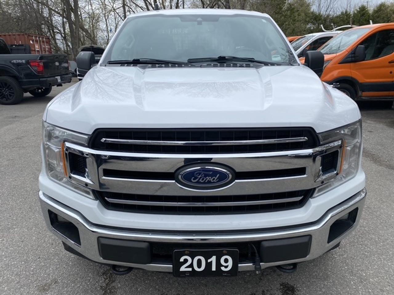 2019 Ford F-150 XL 4WD SUPERCAB 6.5' BOX Photo