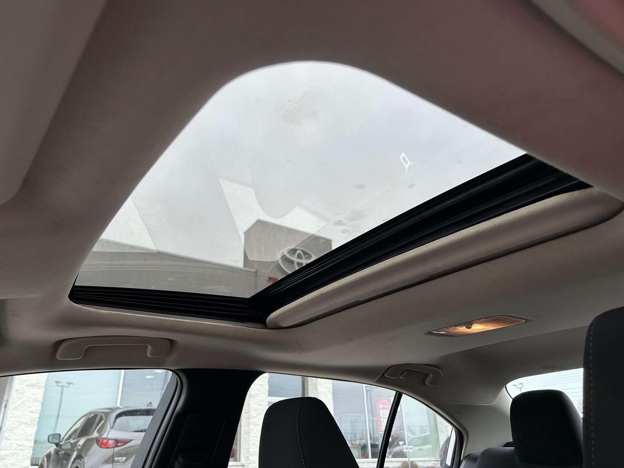 2020 Toyota Corolla LE Upgrade   Moonroof   Heated Wheel Photo