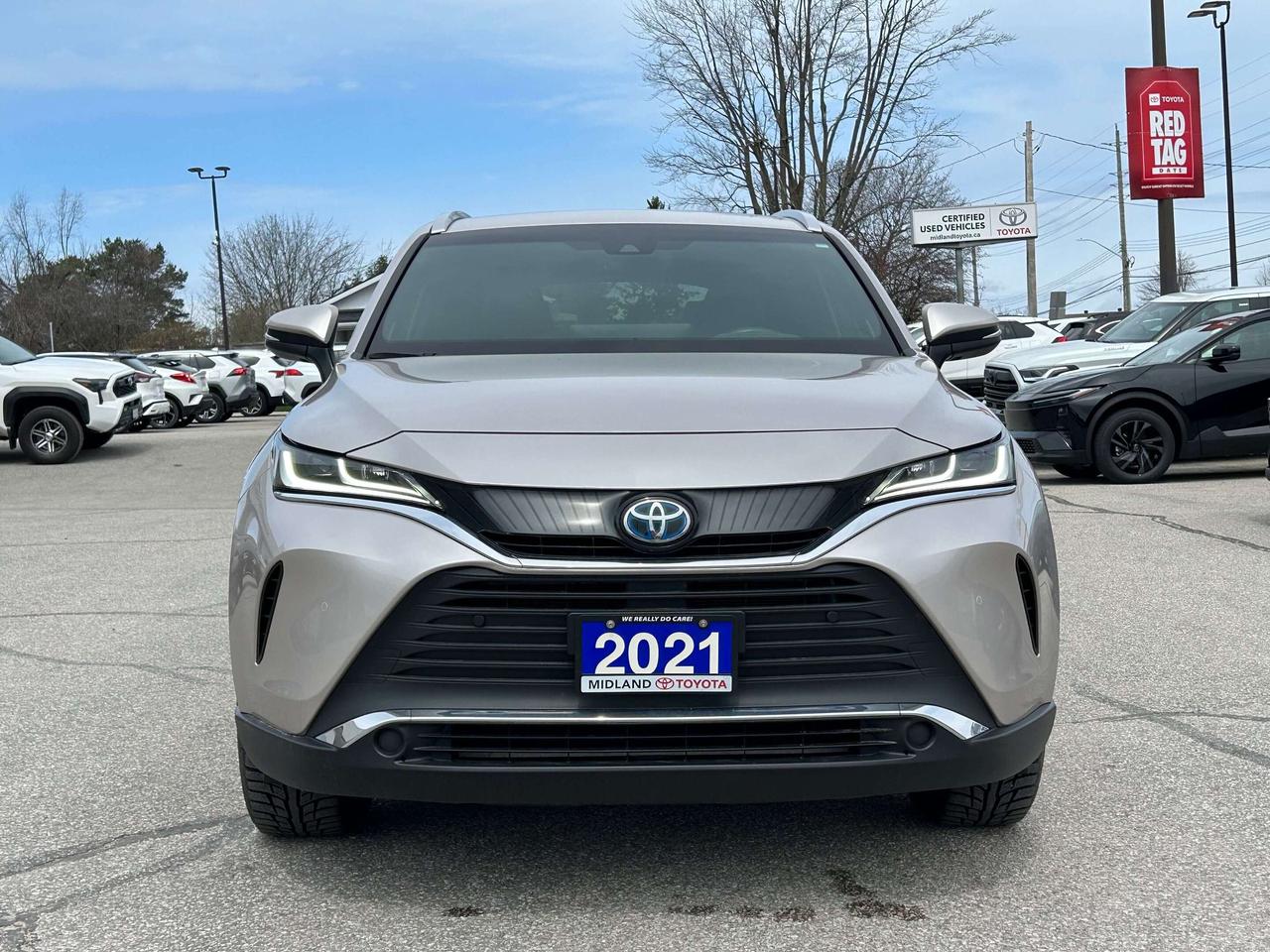 2021 Toyota Venza XLE Photo