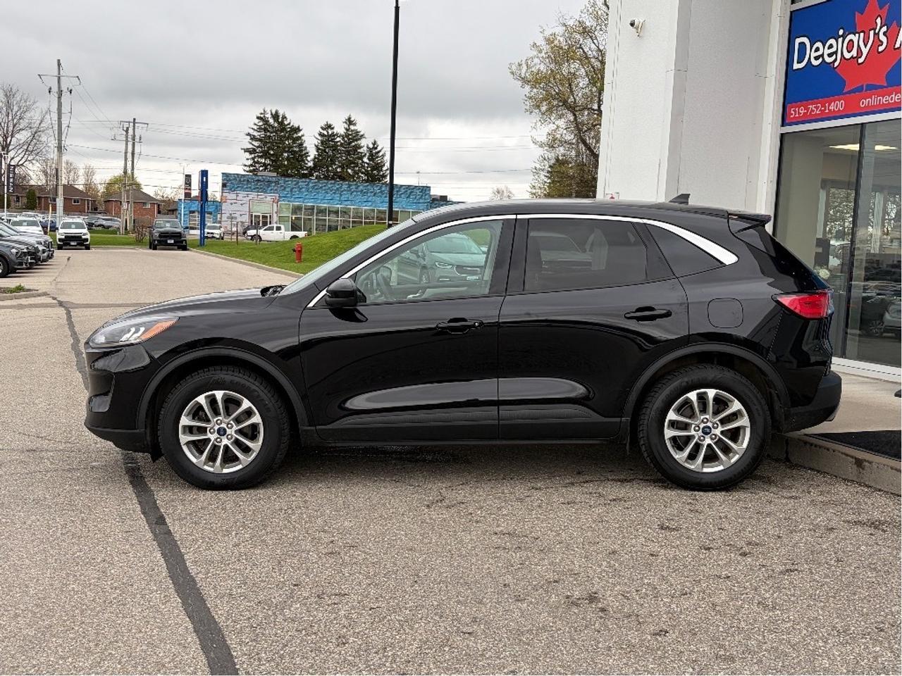 2021 Ford Escape SE AWD   Clean Carfax Photo
