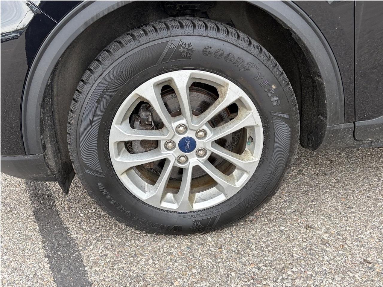 2021 Ford Escape SE AWD   Clean Carfax Photo