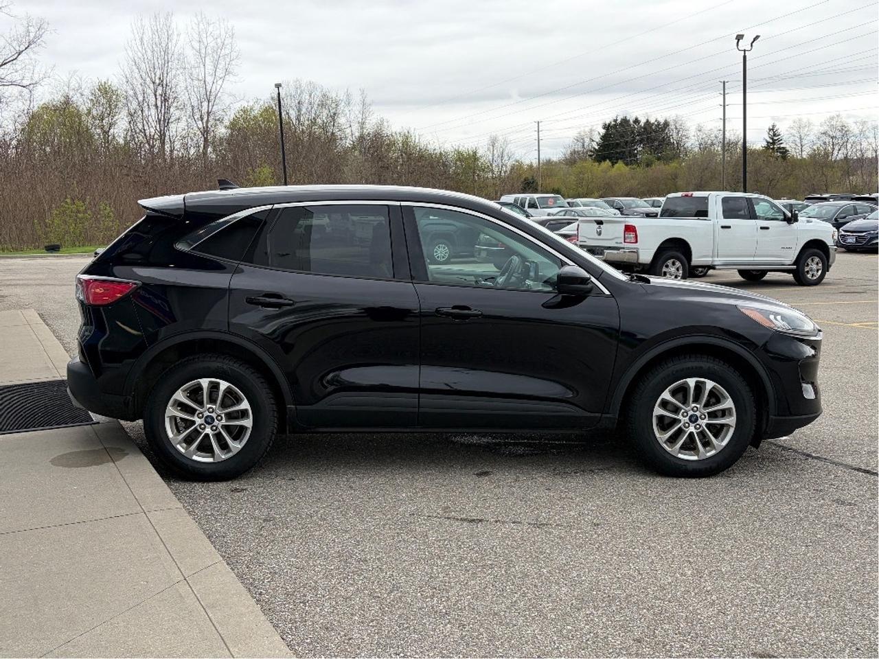 2021 Ford Escape SE AWD   Clean Carfax Photo