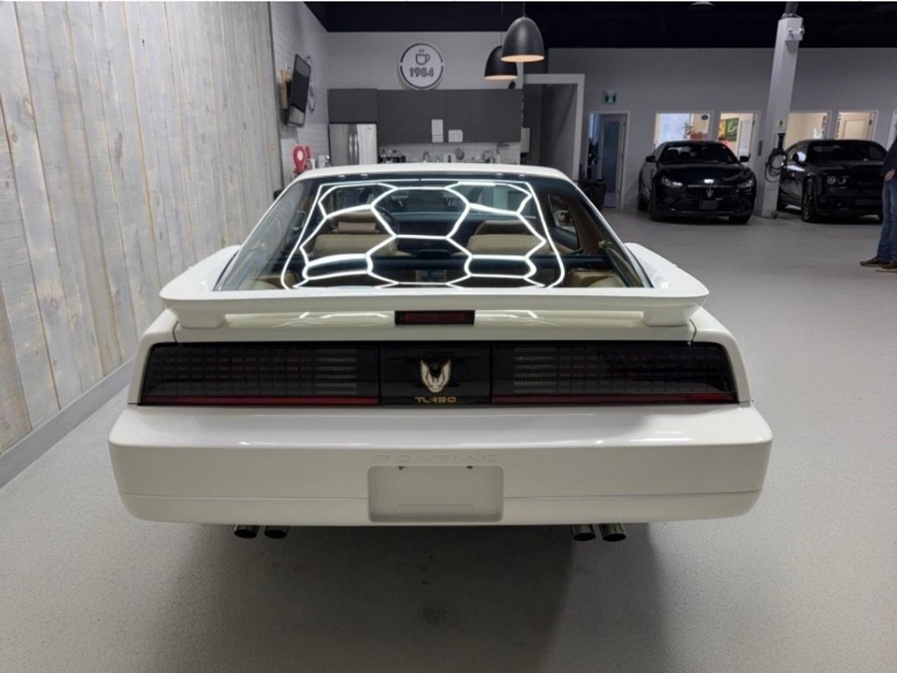 1989 Pontiac Firebird Trans Am GTA SE Turbo Official Pace Car Photo