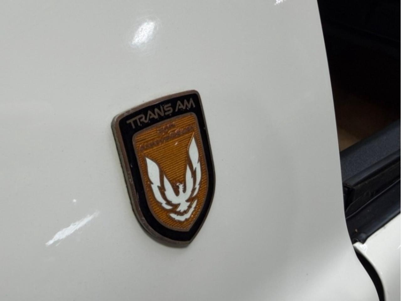 1989 Pontiac Firebird Trans Am GTA SE Turbo Official Pace Car Photo