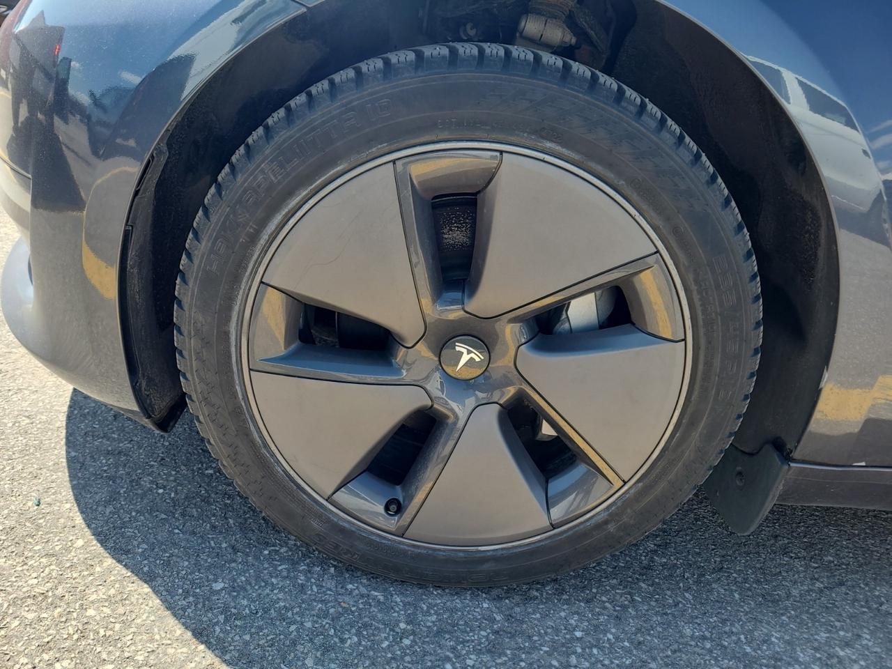 2023 Tesla Model 3 No Accidents l Standard Range l RWD l LFP Photo
