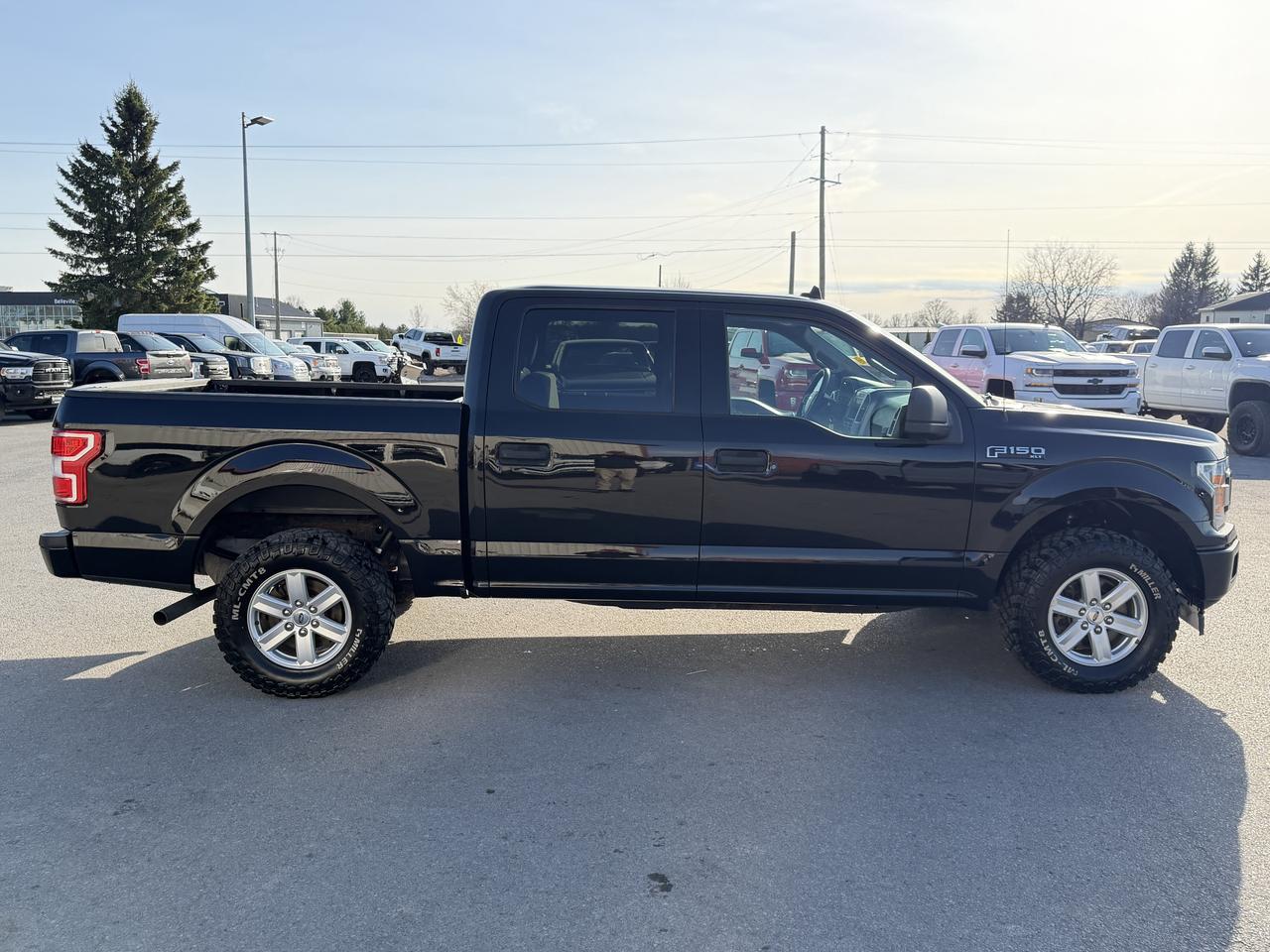 2019 Ford F-150 XLT 4WD SuperCrew 5.5' Box Photo