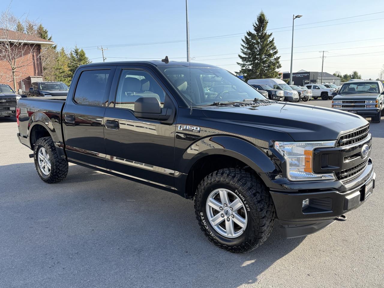 2019 Ford F-150 XLT 4WD SuperCrew 5.5' Box Photo