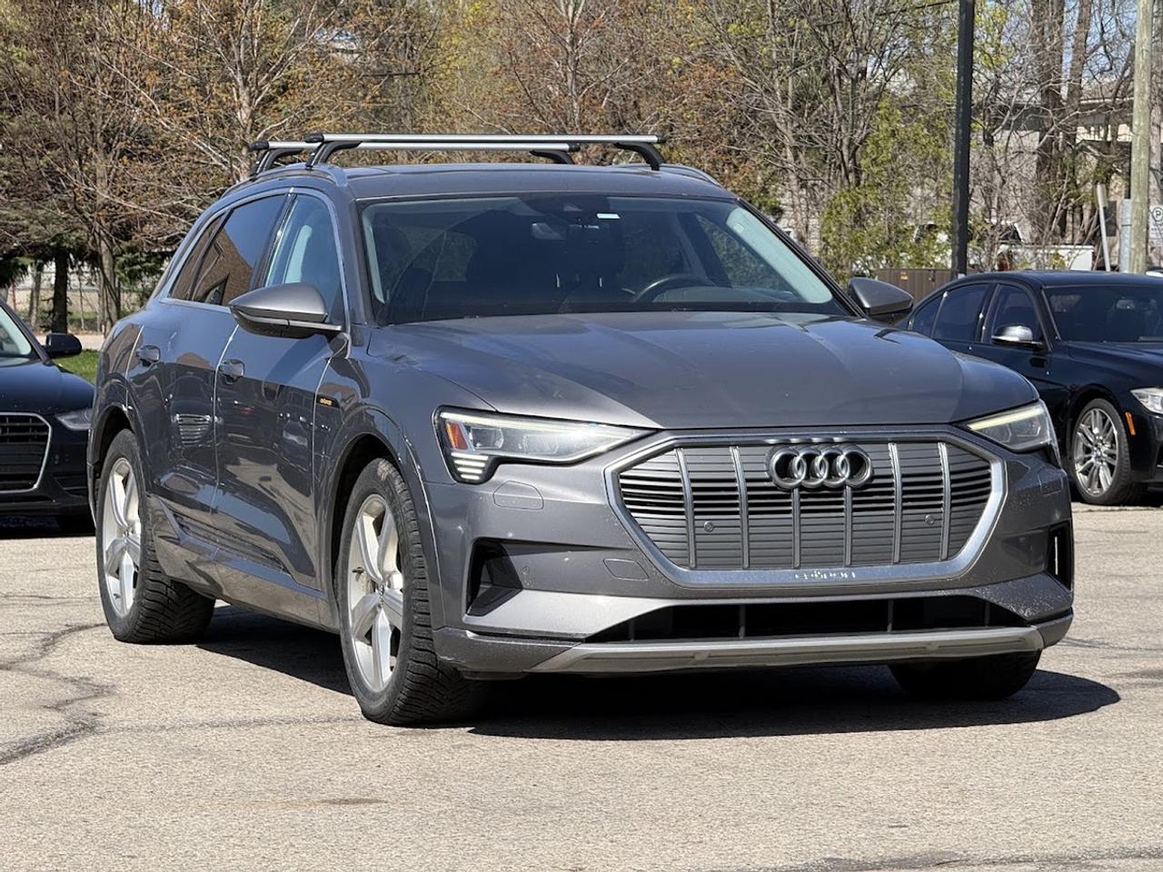 2019 Audi E-Tron Progressiv Photo