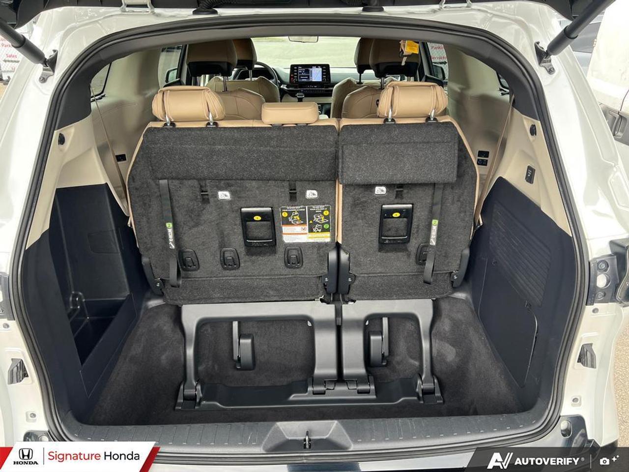 2024 Toyota Sienna LIMITED Photo