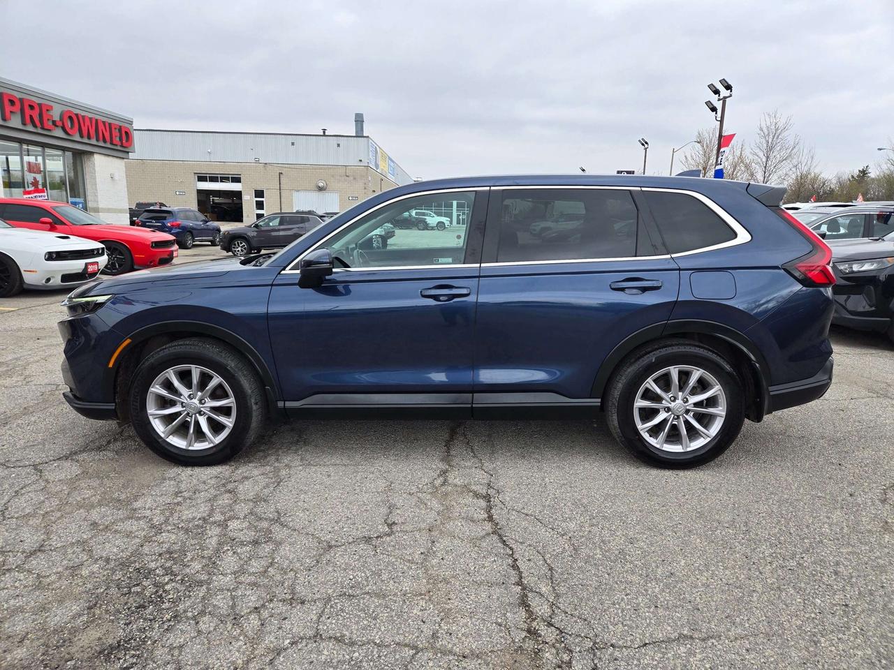 2024 Honda CR-V EX-L w/Leather, Adaptive Cruise, Wireless Charger Photo