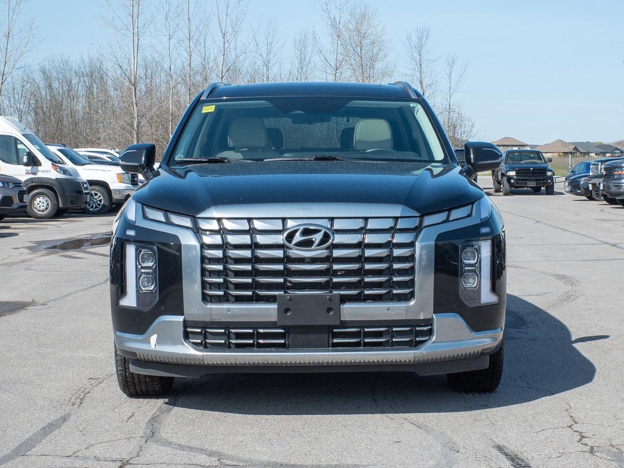 2025 Hyundai PALISADE Ultimate Calligraphy - Moonroof   Remote Parking S Photo2