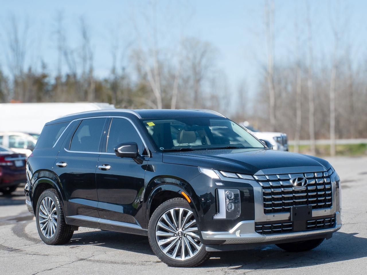 2025 Hyundai PALISADE Ultimate Calligraphy - Moonroof   Remote Parking S Photo