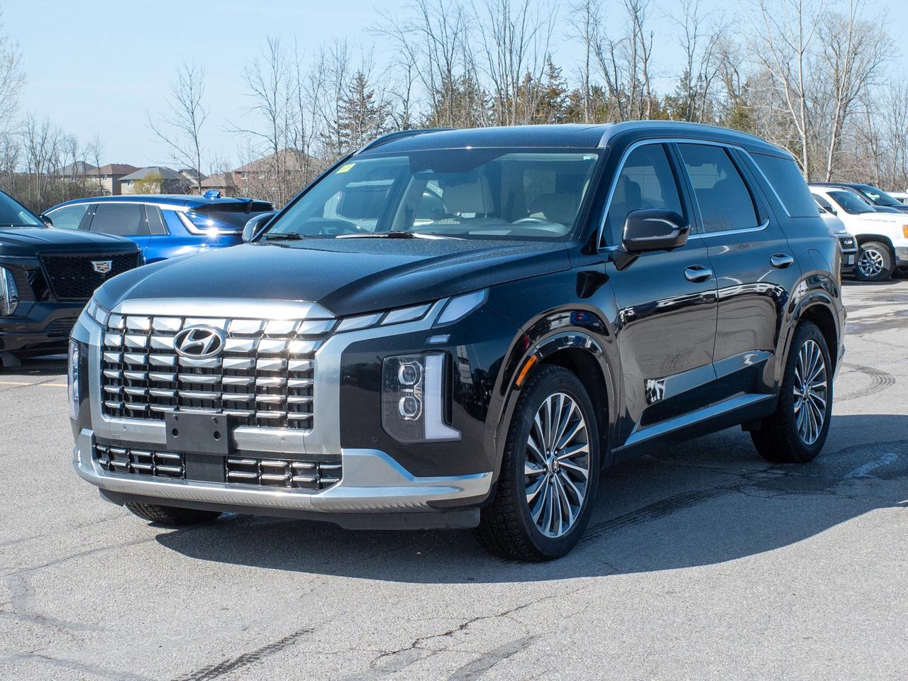 2025 Hyundai PALISADE Ultimate Calligraphy - Moonroof   Remote Parking S Photo