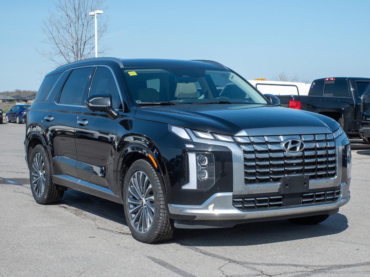 2025 Hyundai PALISADE Ultimate Calligraphy - Moonroof   Remote Parking S Photo