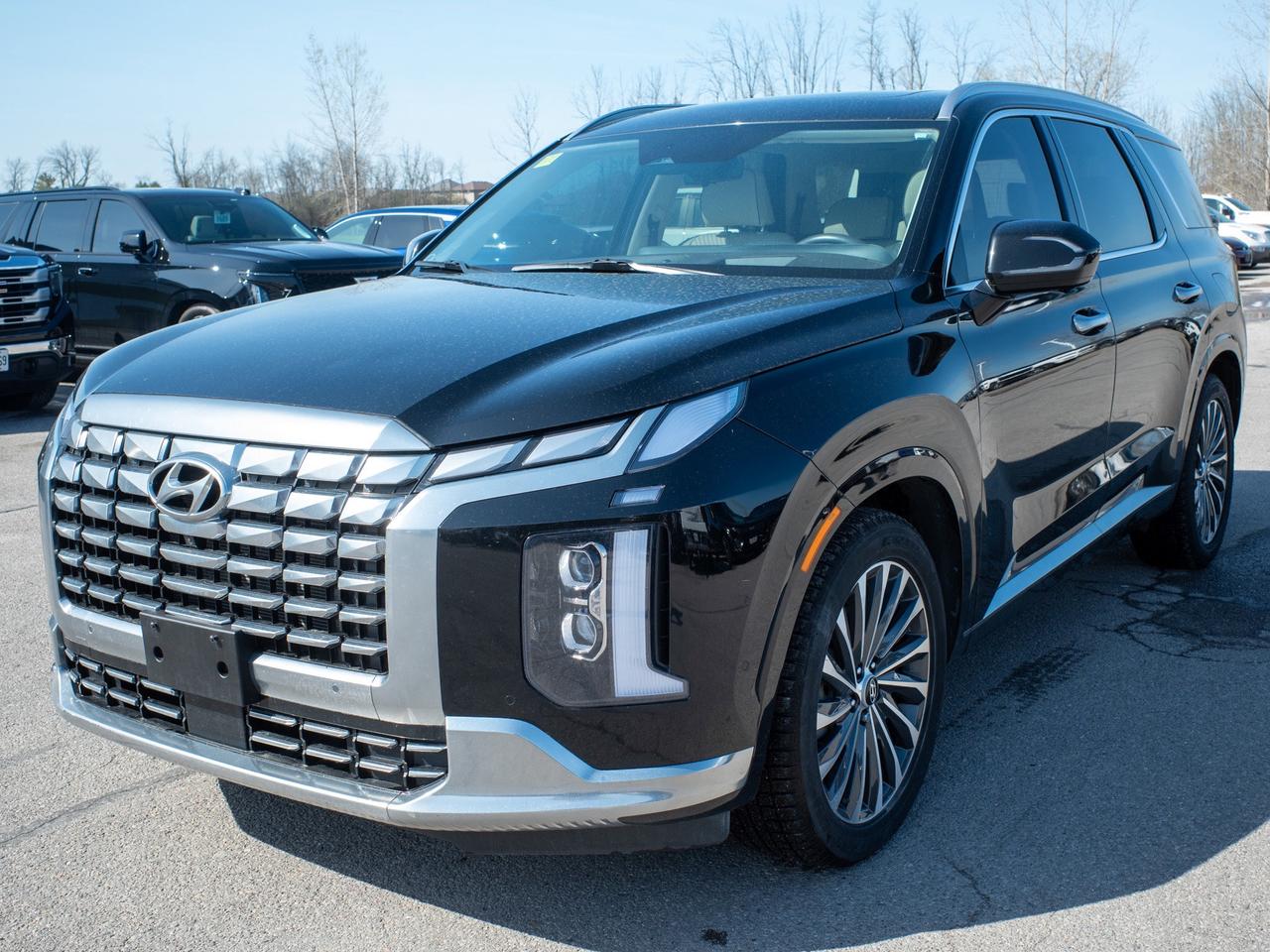 2025 Hyundai PALISADE Ultimate Calligraphy - Moonroof   Remote Parking S Photo