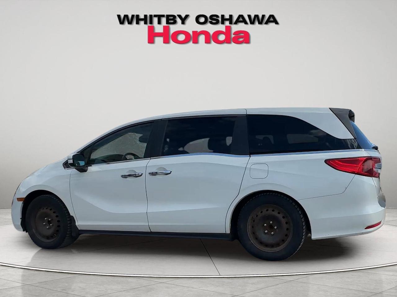 2019 Honda Odyssey  Photo