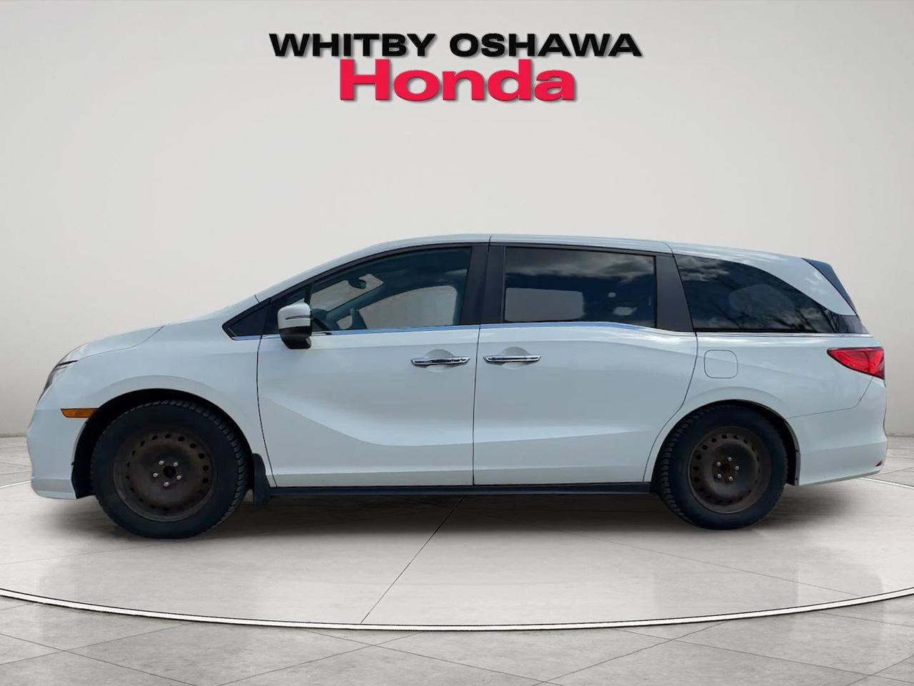 2019 Honda Odyssey  Photo