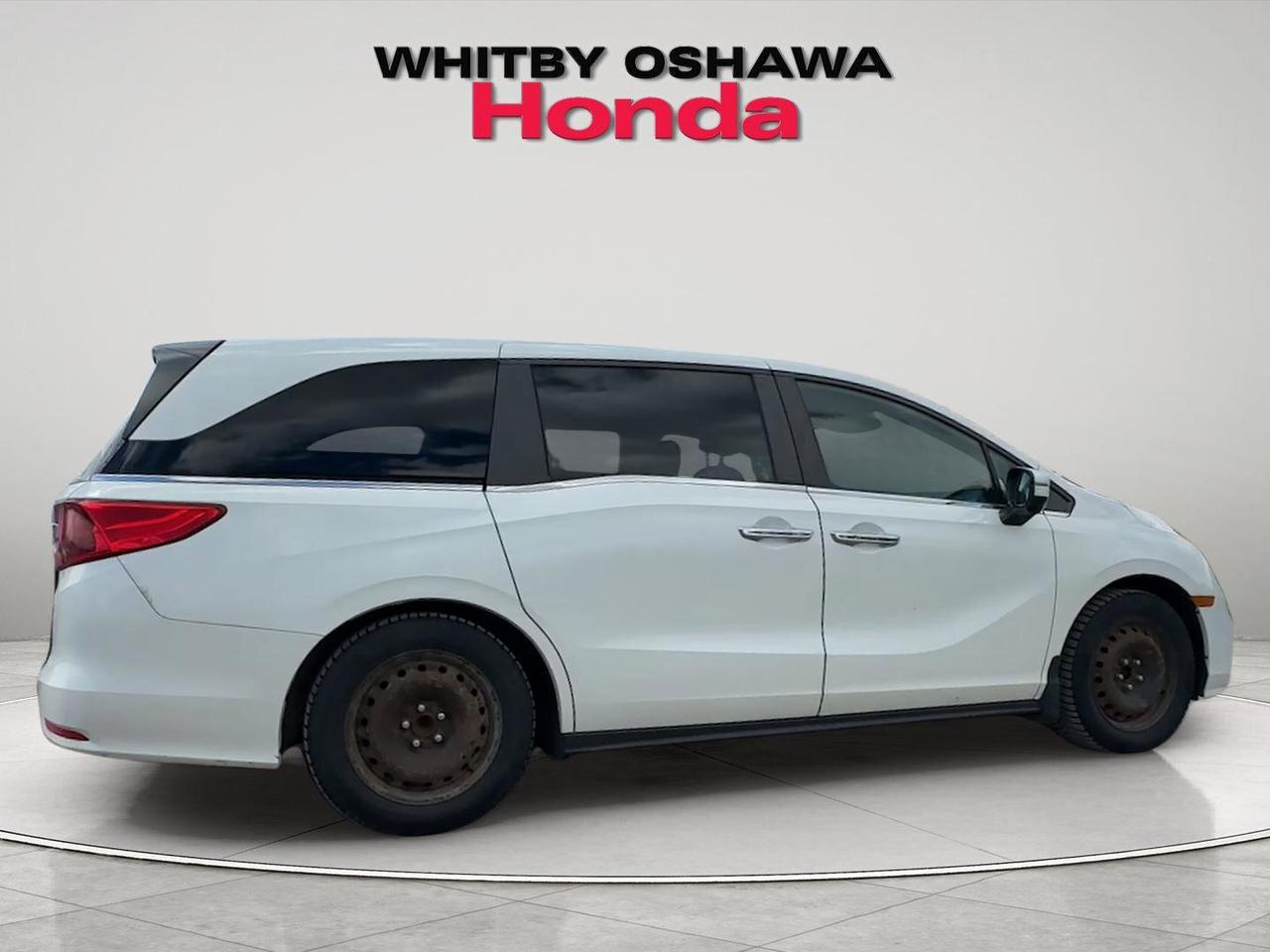2019 Honda Odyssey  Photo