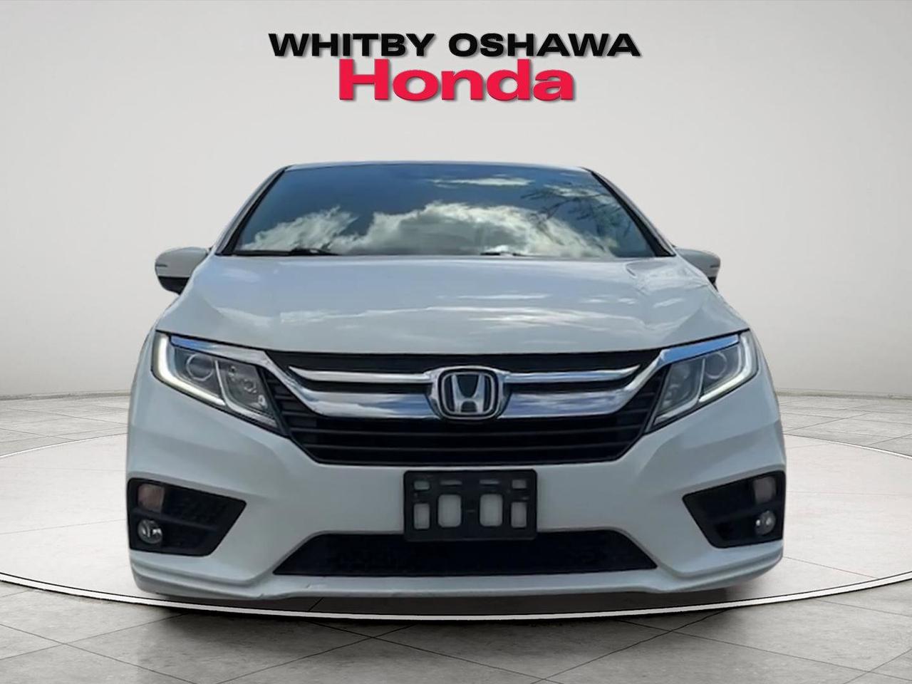 2019 Honda Odyssey  Photo