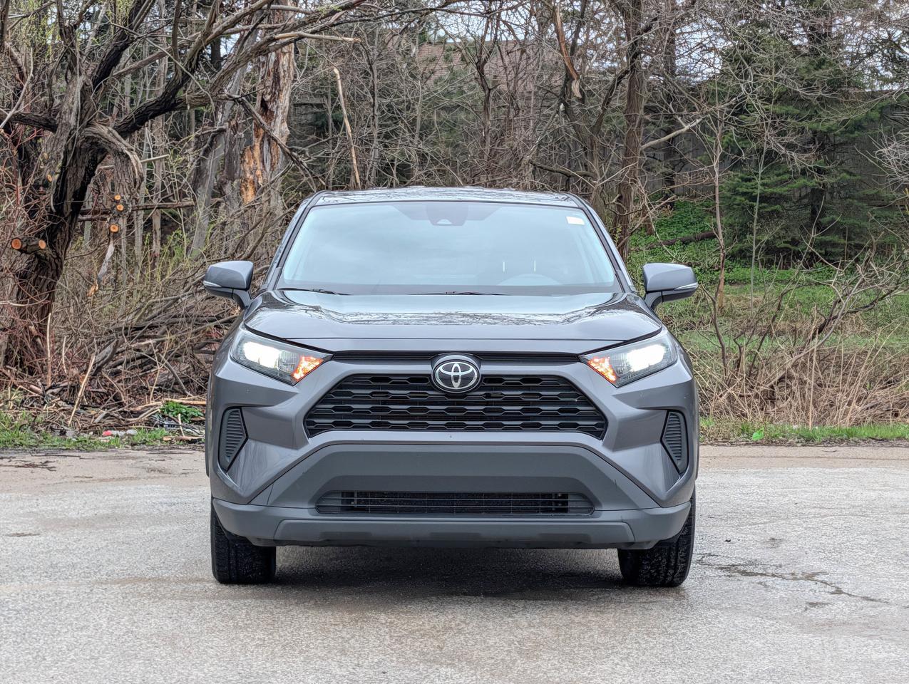 2024 Toyota RAV4 LE Photo