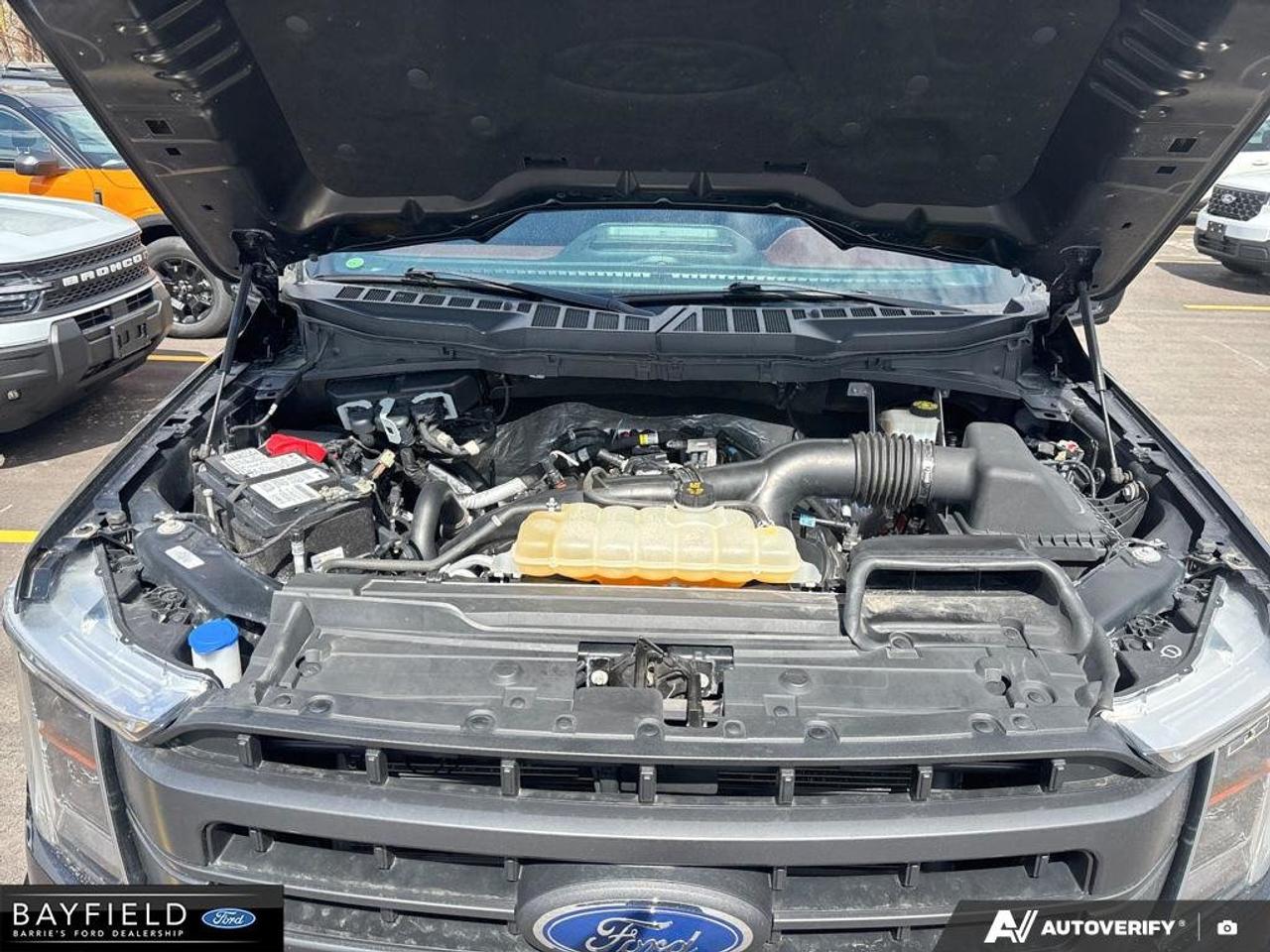2022 Ford F-150  Photo