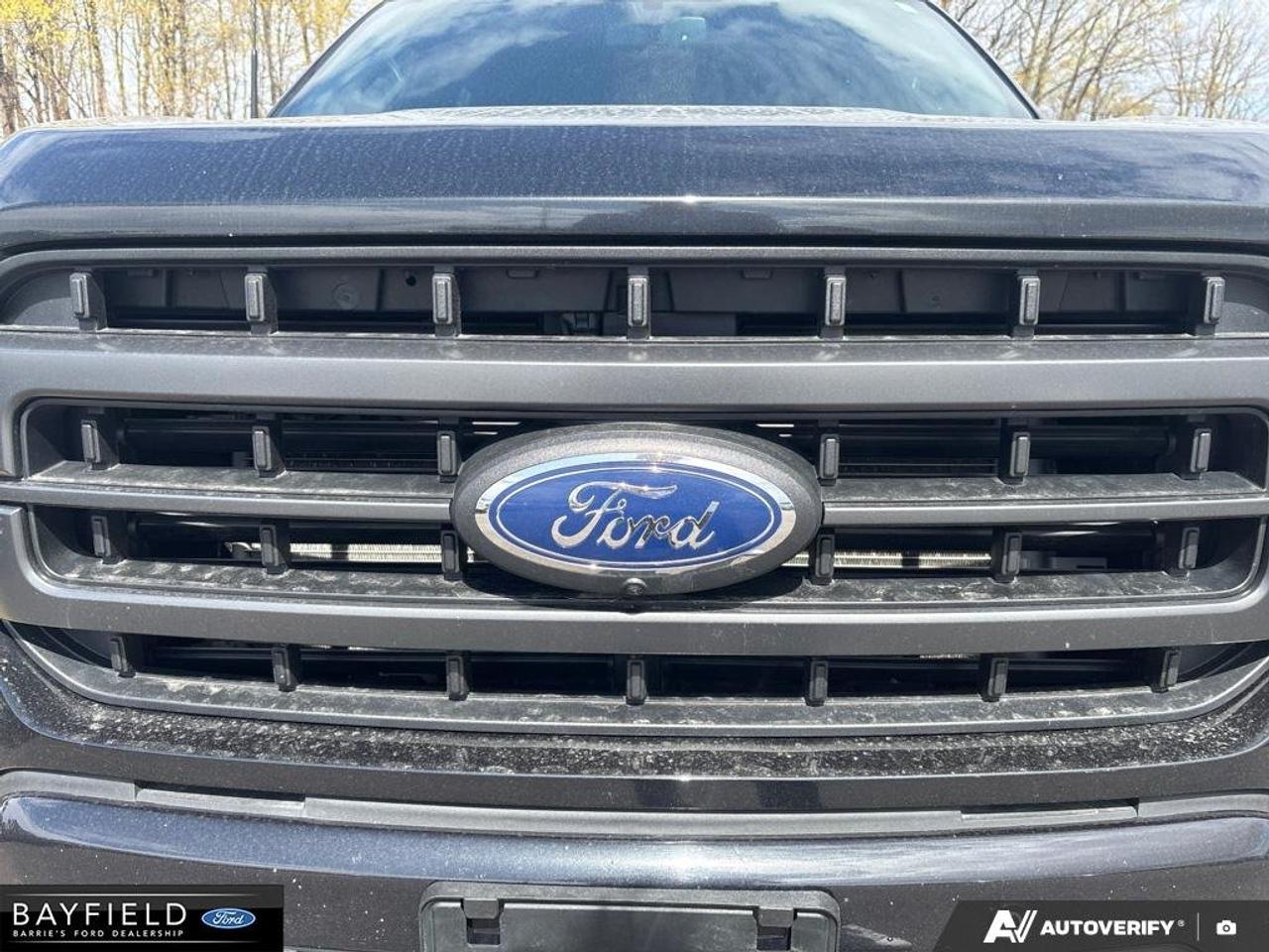 2022 Ford F-150  Photo
