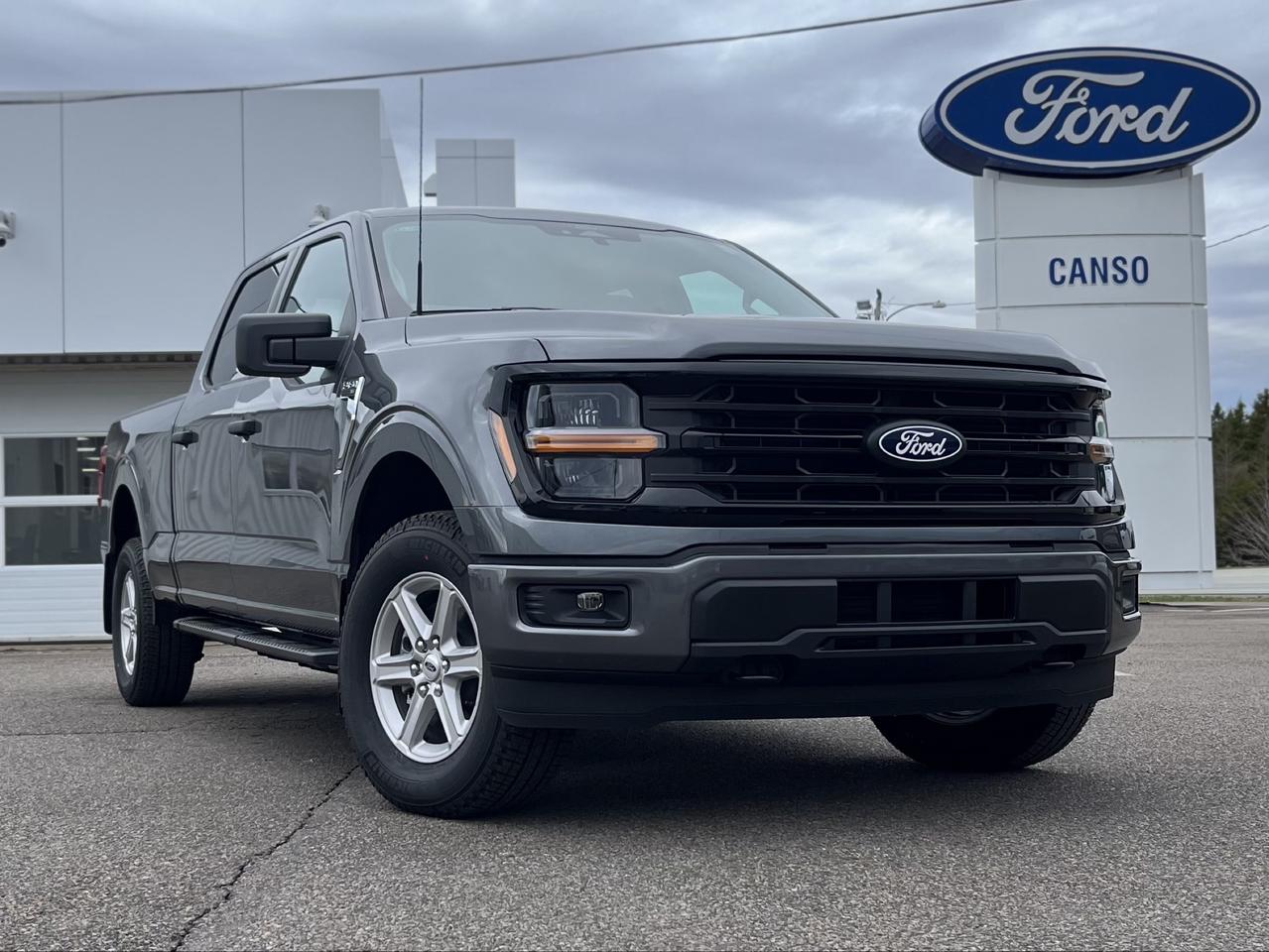 2026 Ford F-150 XLT 4WD SuperCrew 6.5' Box Photo0