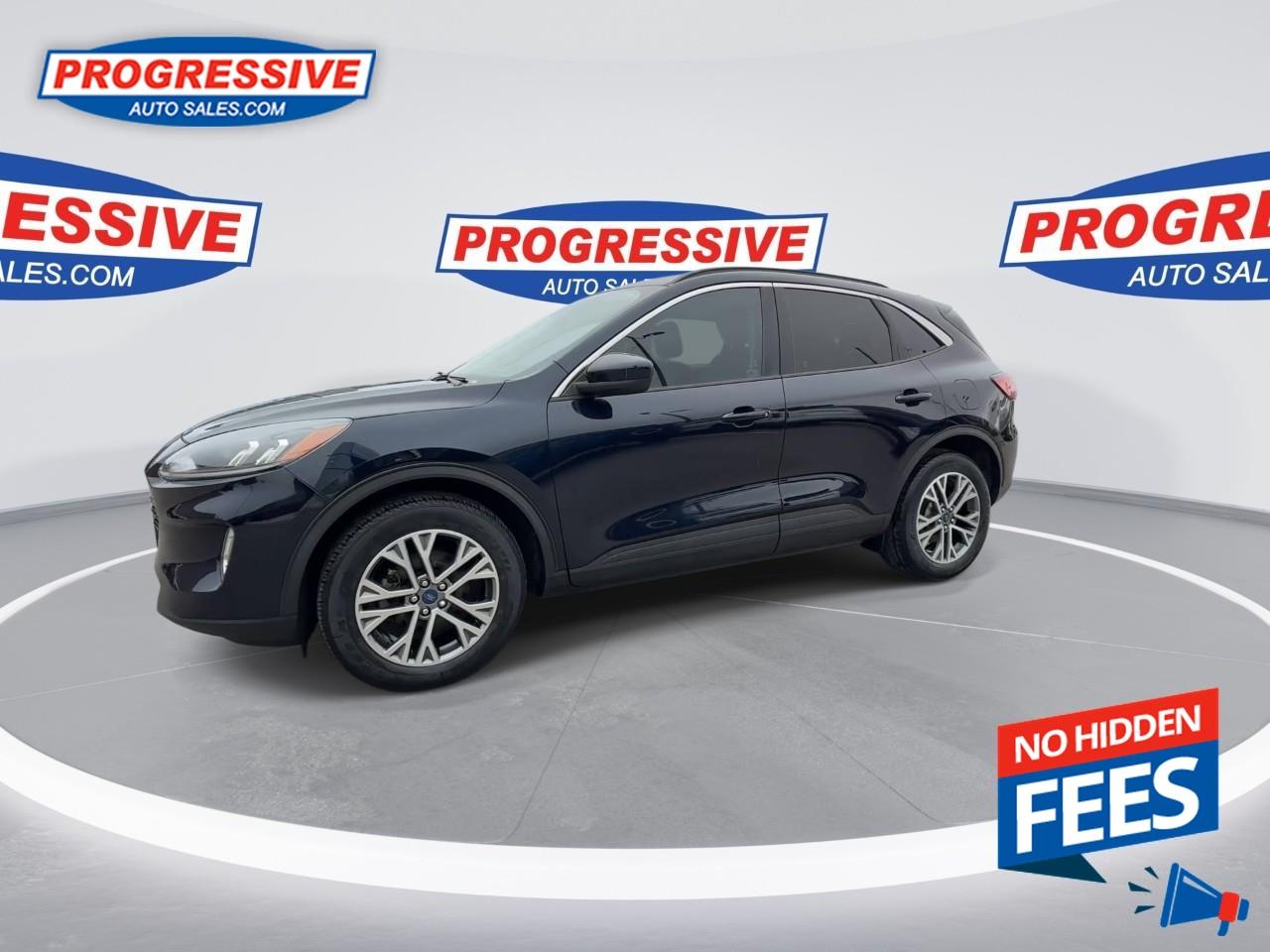 2021 Ford Escape SEL Hybrid Photo