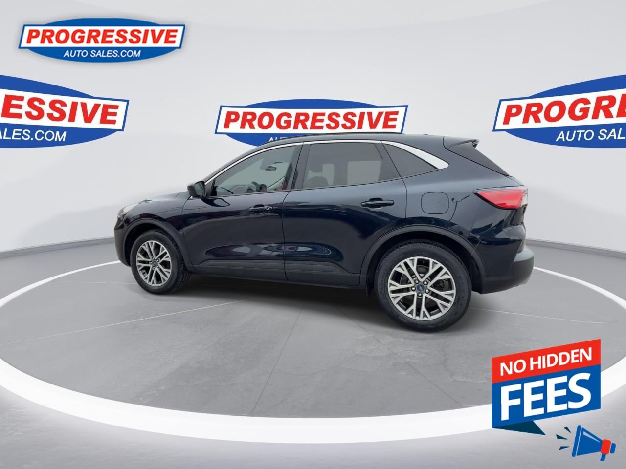 2021 Ford Escape SEL Hybrid Photo