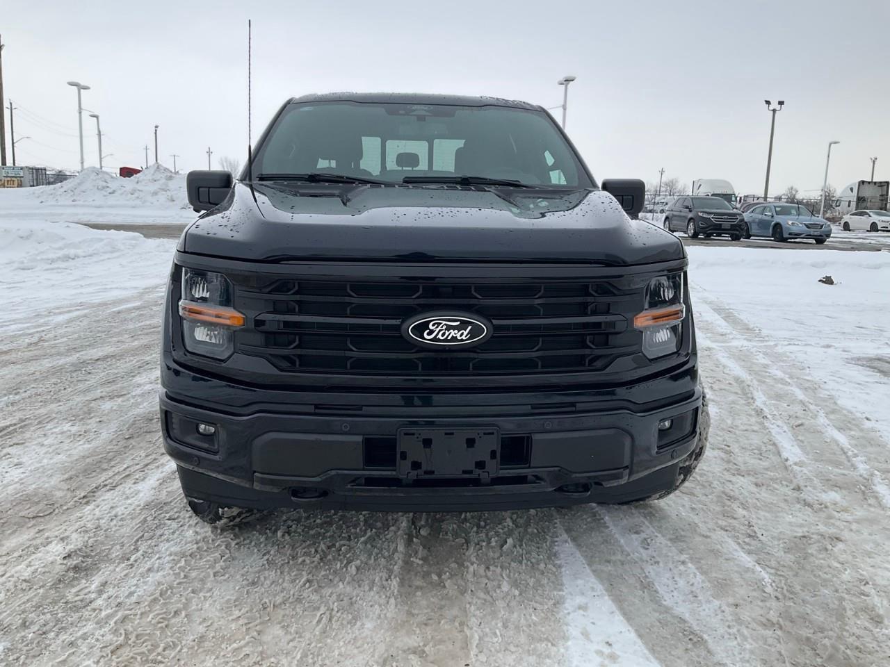 2025 Ford F-150 302A, 2.7L, XLT BLACK PACKAGE, TRAILER BRAKE CONTROLLER AND MORE Photo