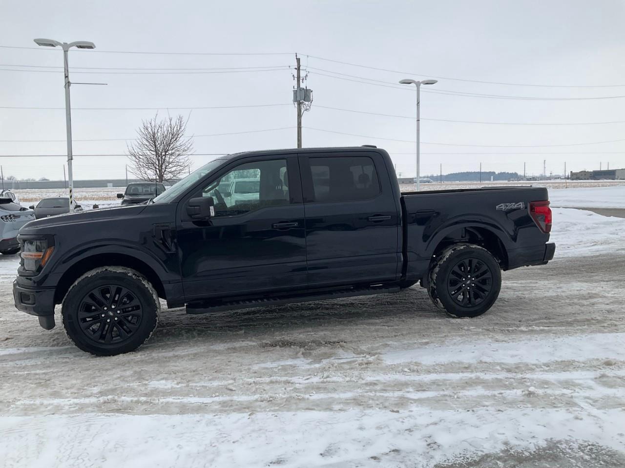 2025 Ford F-150 302A, 2.7L, XLT BLACK PACKAGE, TRAILER BRAKE CONTROLLER AND MORE Photo