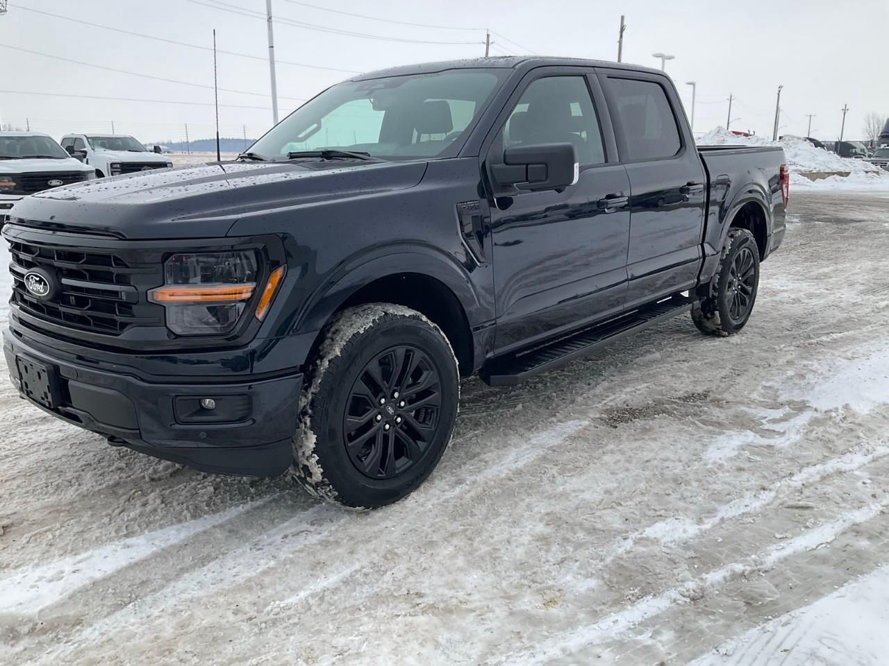 2025 Ford F-150 302A, 2.7L, XLT BLACK PACKAGE, TRAILER BRAKE CONTROLLER AND MORE Photo