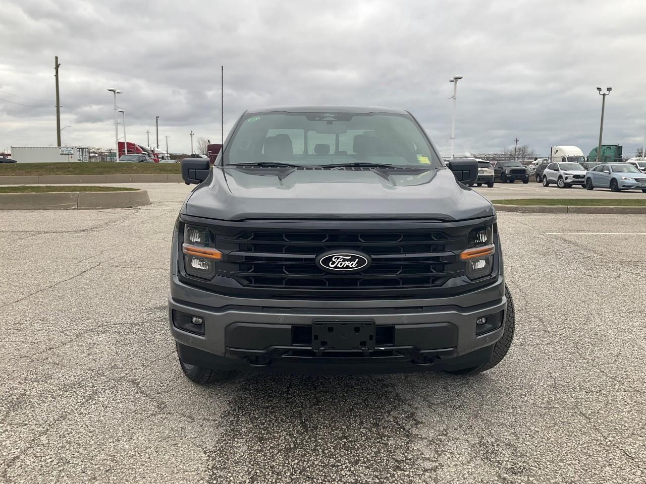 2025 Ford F-150 XLT Photo