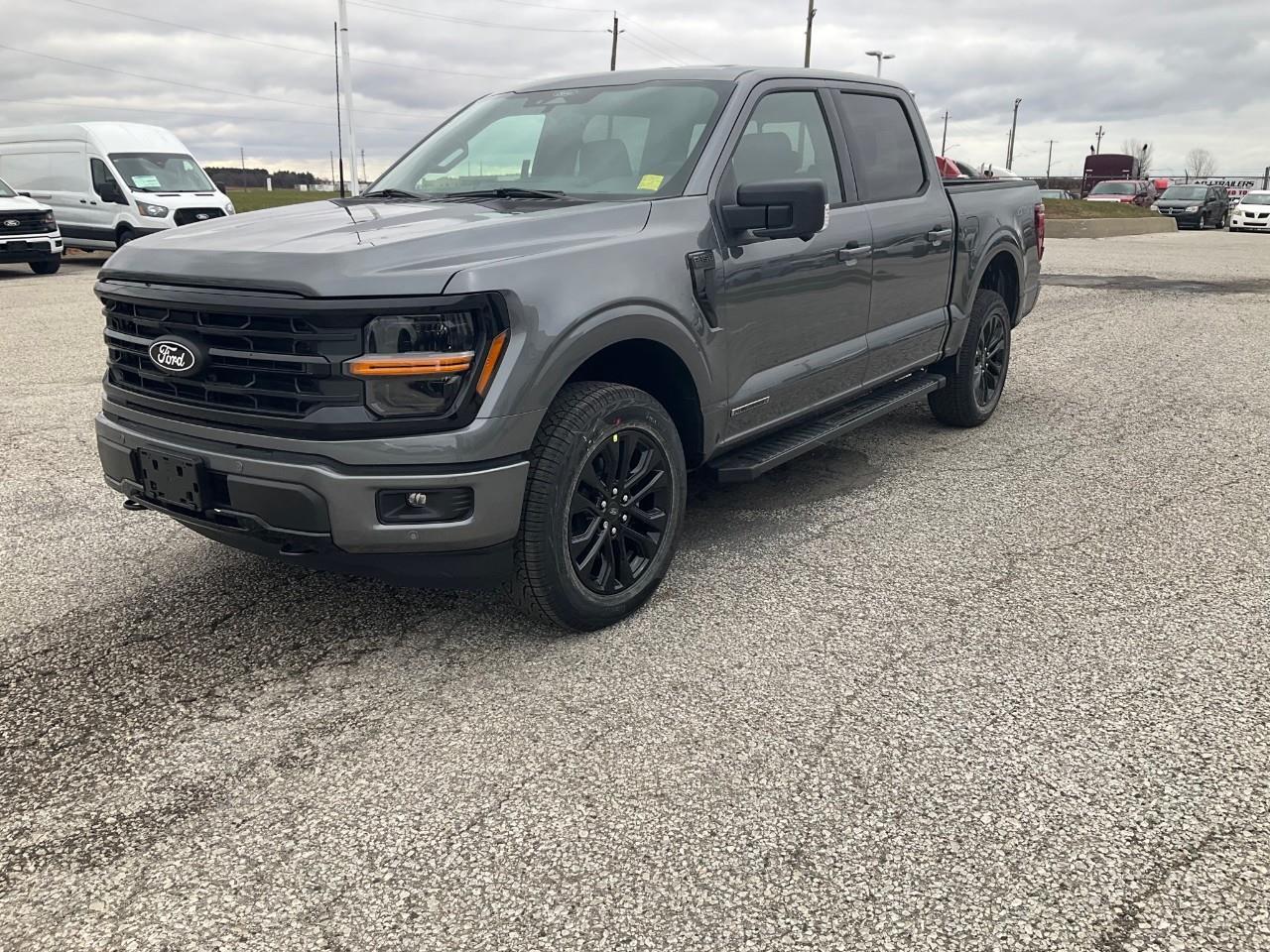 2025 Ford F-150 XLT Photo