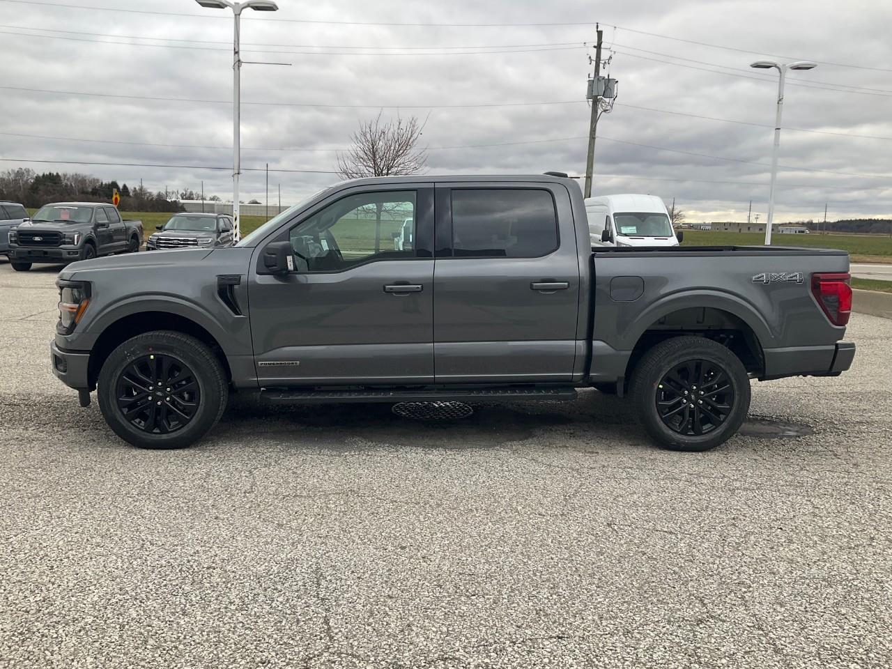 2025 Ford F-150 XLT Photo