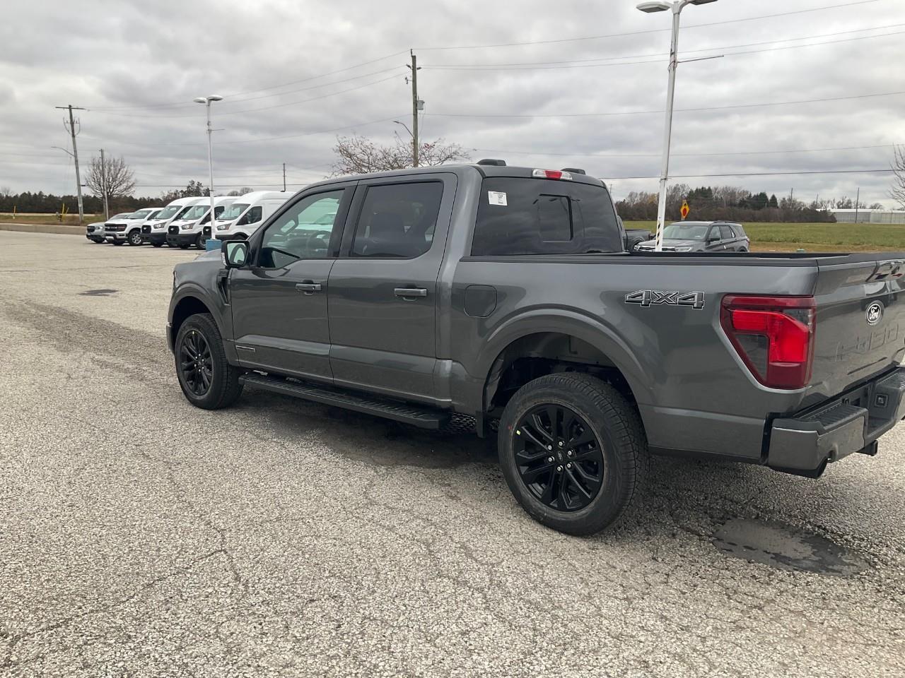 2025 Ford F-150 XLT Photo