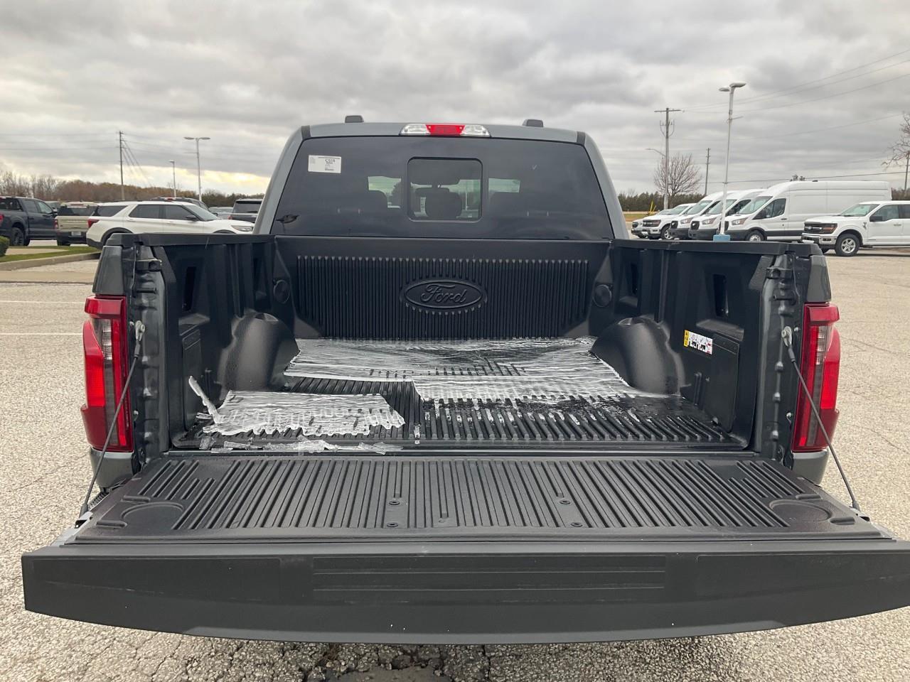2025 Ford F-150 XLT Photo