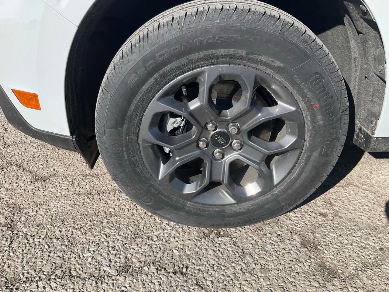 2026 Ford Maverick XLT Photo