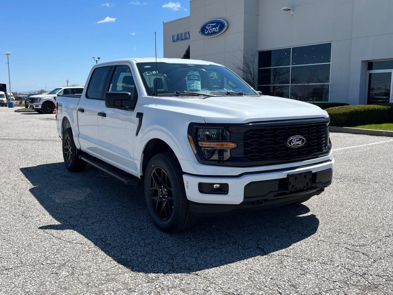 2025 Ford F-150 STX Photo
