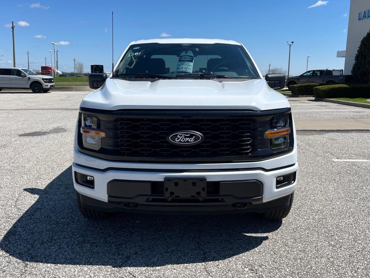 2025 Ford F-150 STX Photo2