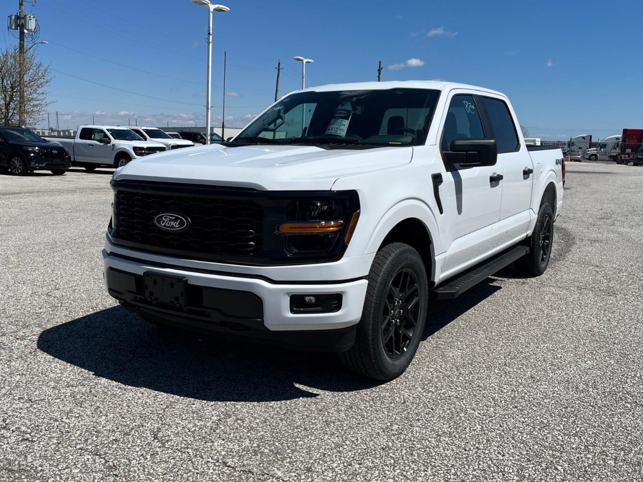 2025 Ford F-150 STX Photo