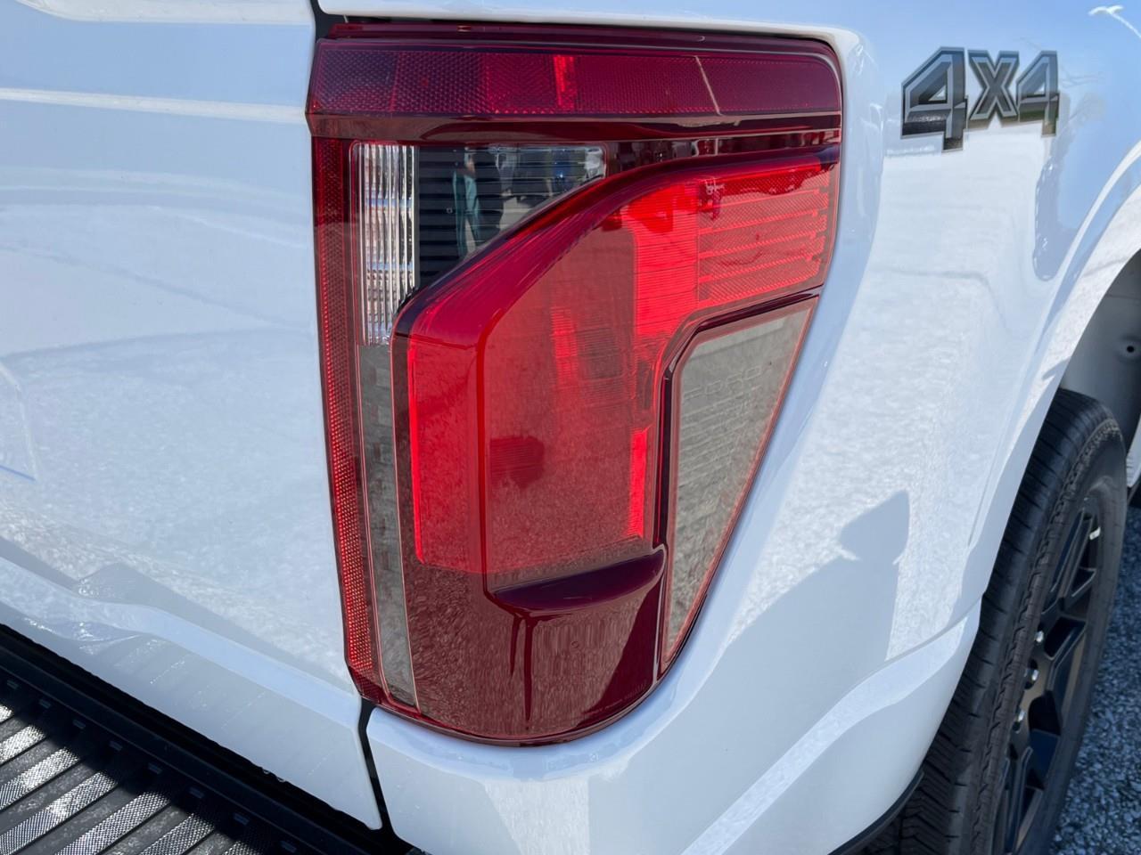 2025 Ford F-150 STX Photo