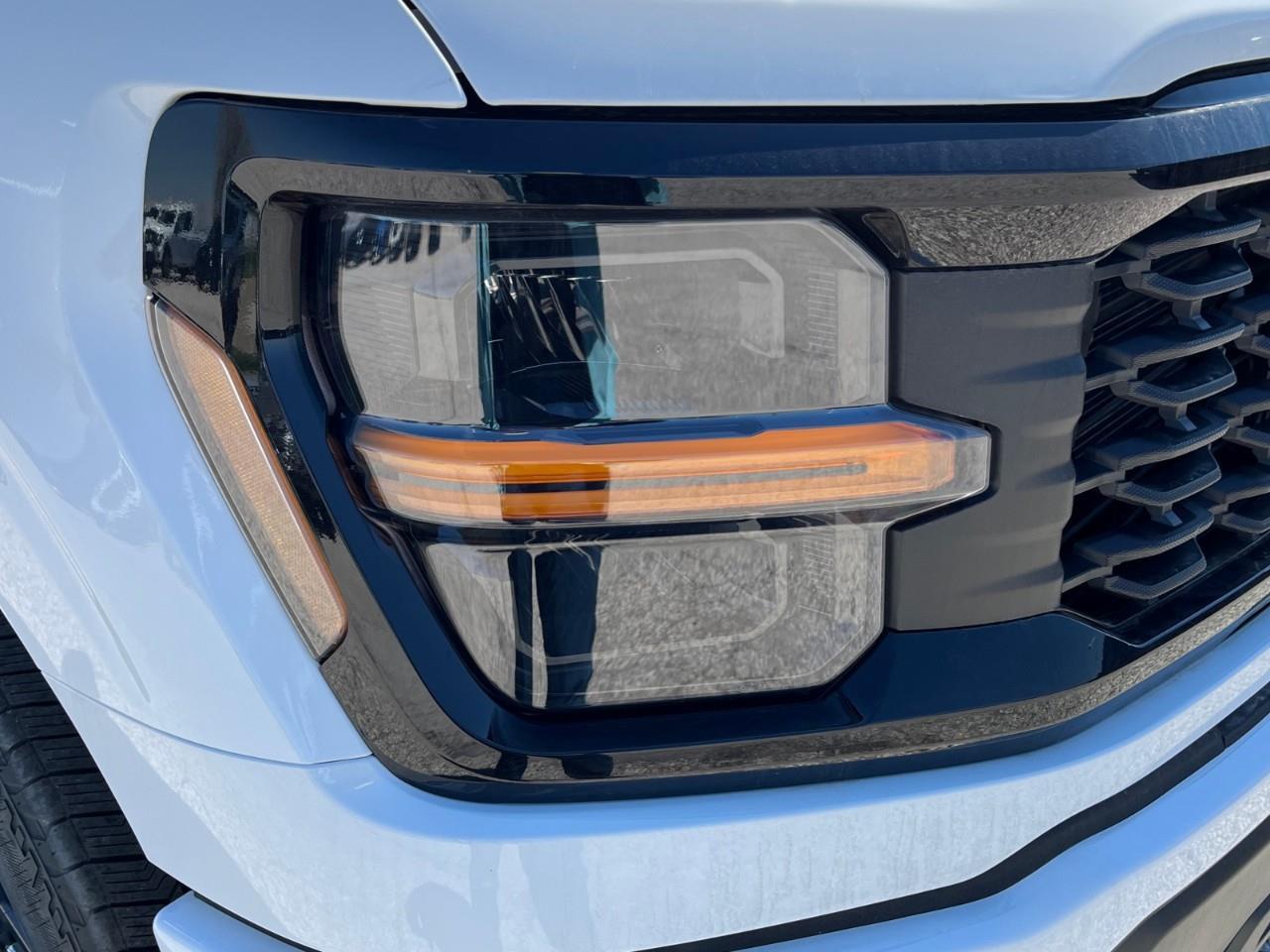 2025 Ford F-150 STX Photo