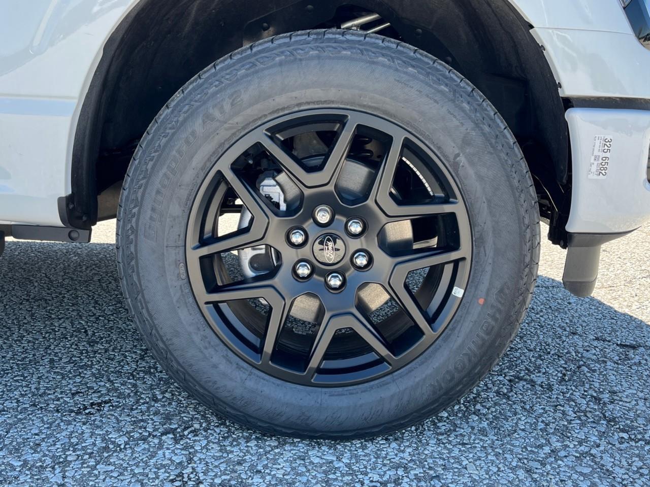 2025 Ford F-150 STX Photo