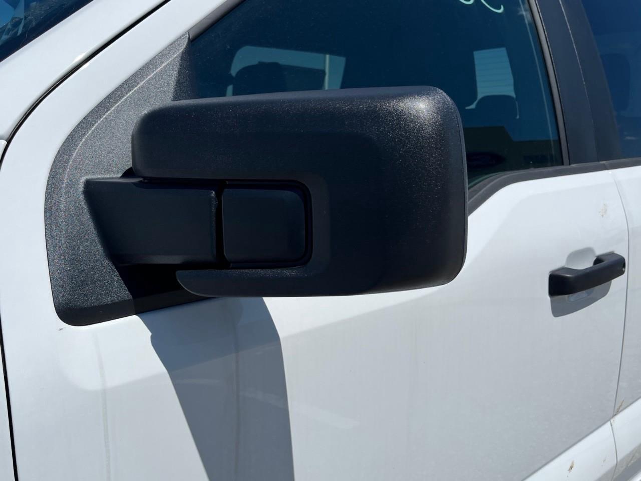 2025 Ford F-150 STX Photo
