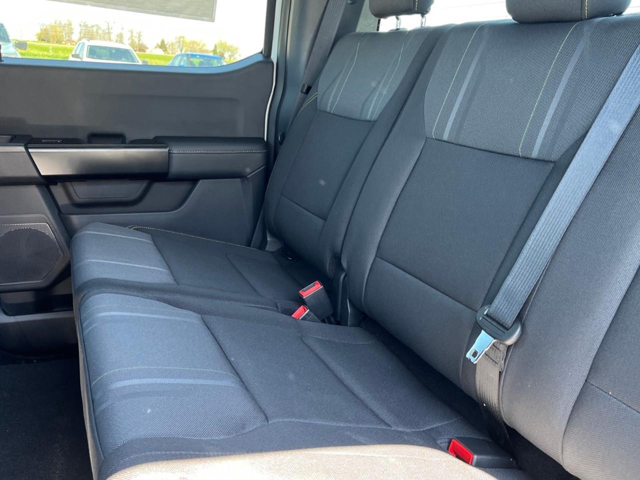 2025 Ford F-150 STX Photo