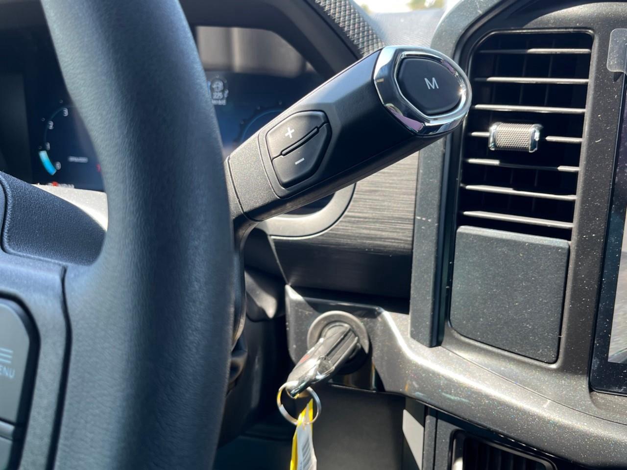 2025 Ford F-150 STX Photo
